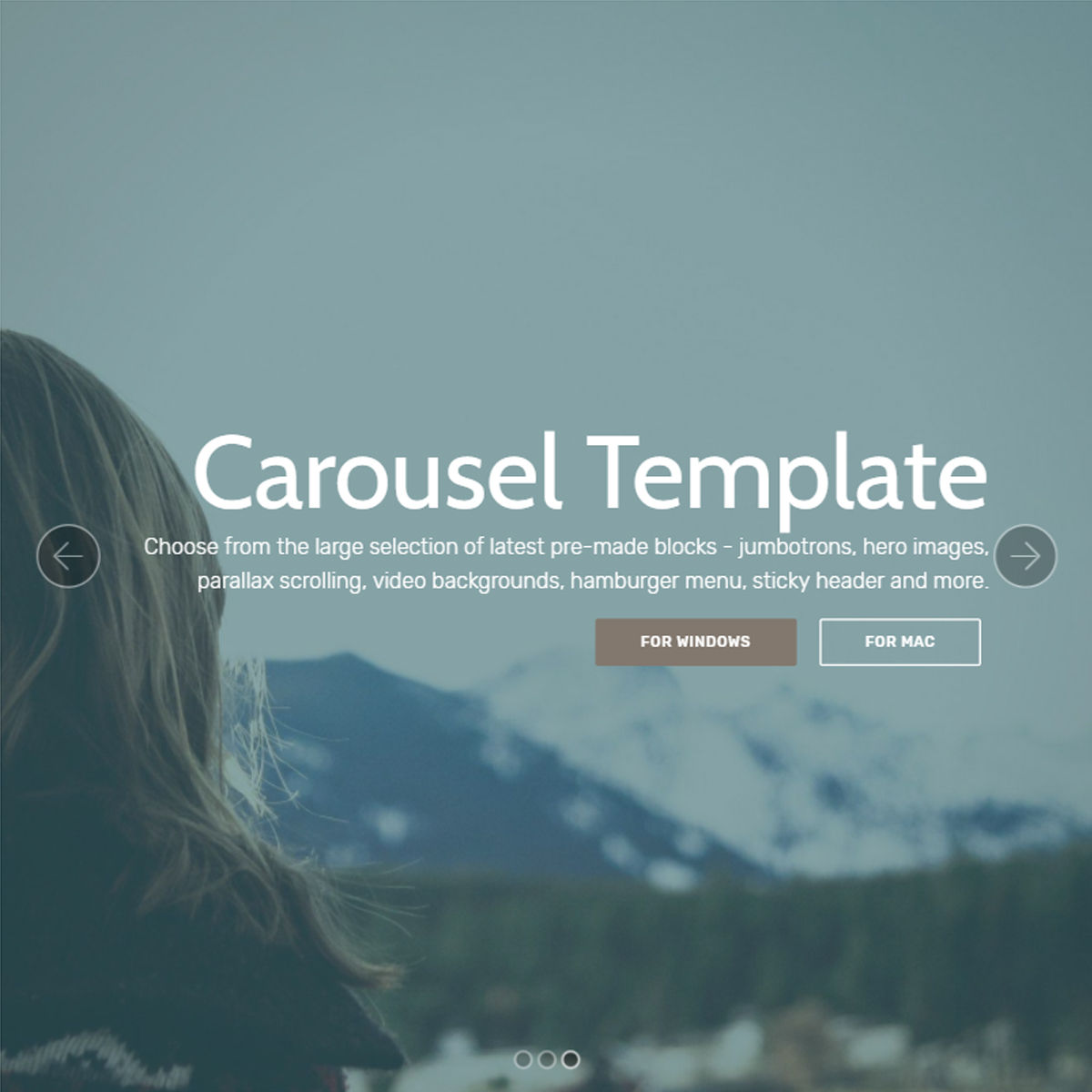 Carousel Free Download For Mac